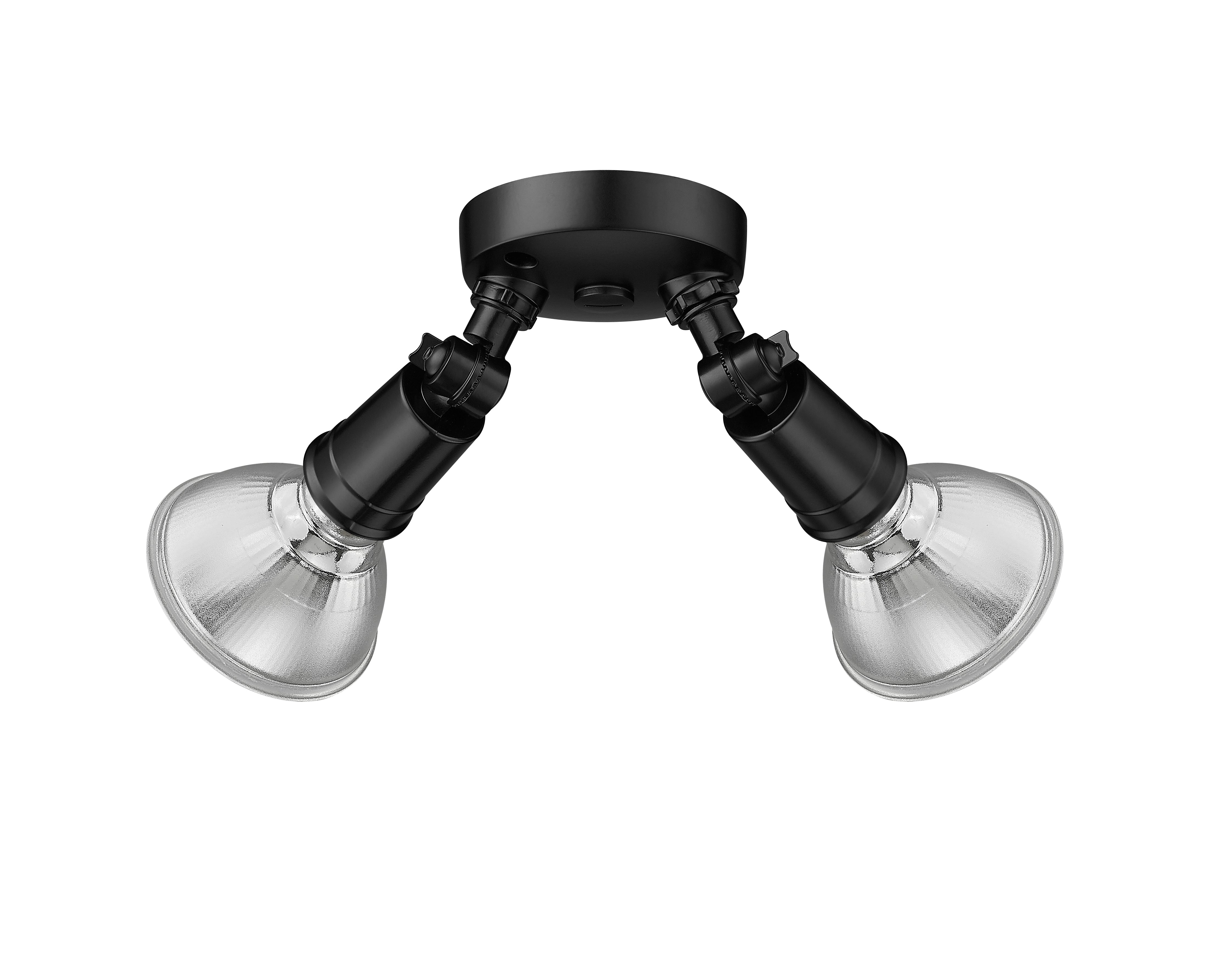 9.25'' Powder Coated Black 2 Light Flood Light
