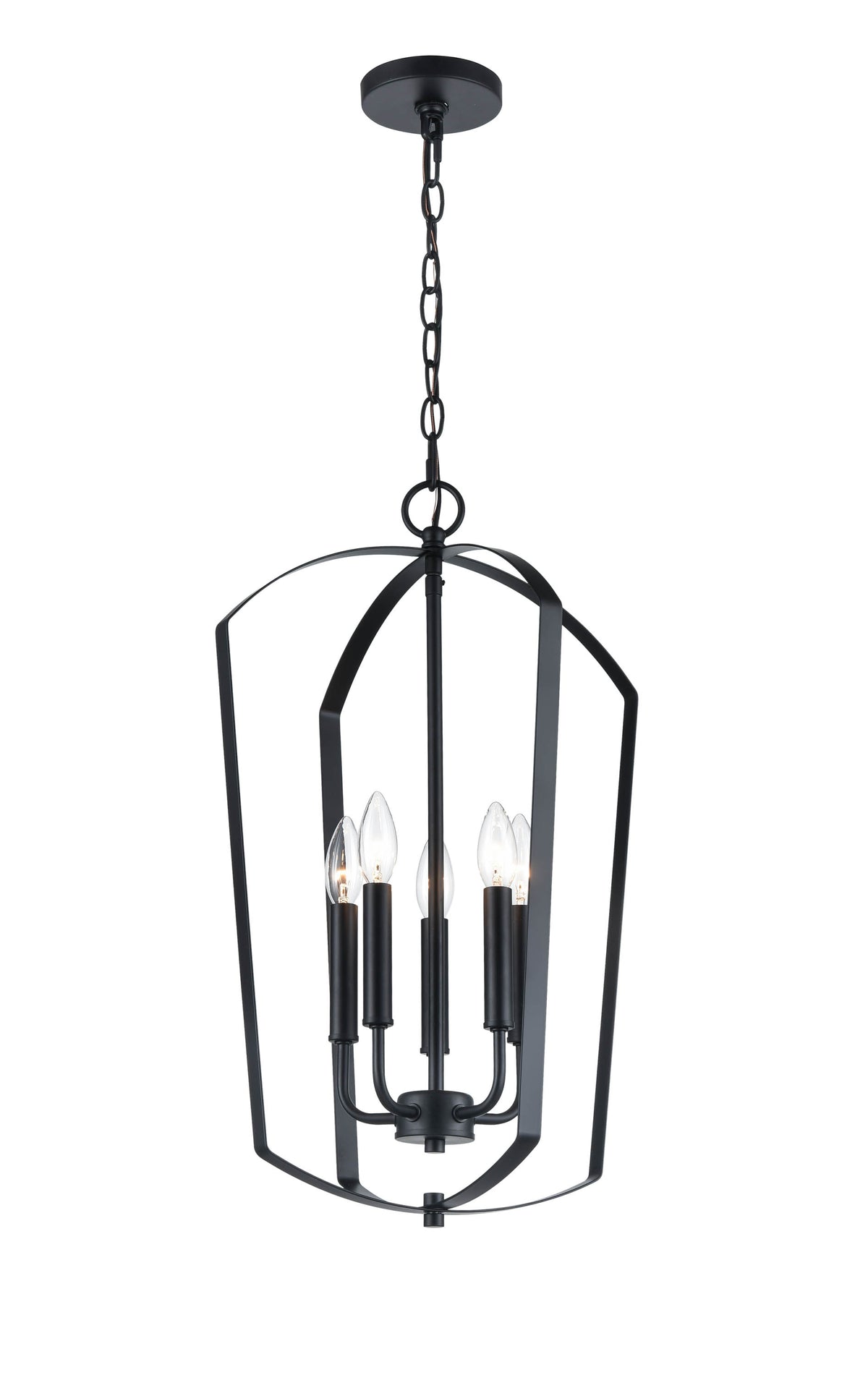 24'' Ivey Lake Matte Black 5 Light Pendant