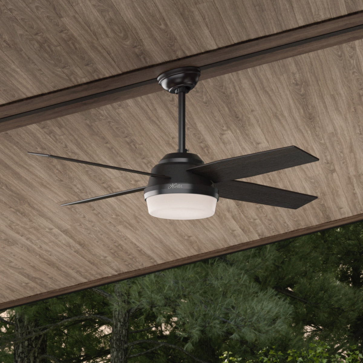 52 inch Dempsey Matte Black Damp Rated Ceiling Fan with LED Light Kit and Handheld Remote