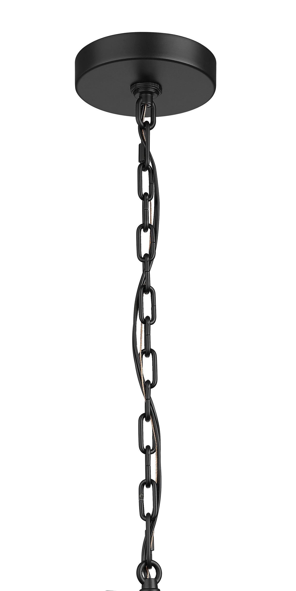 19.25'' McDonough Powder Coated Black 1 Light Hanging Lantern