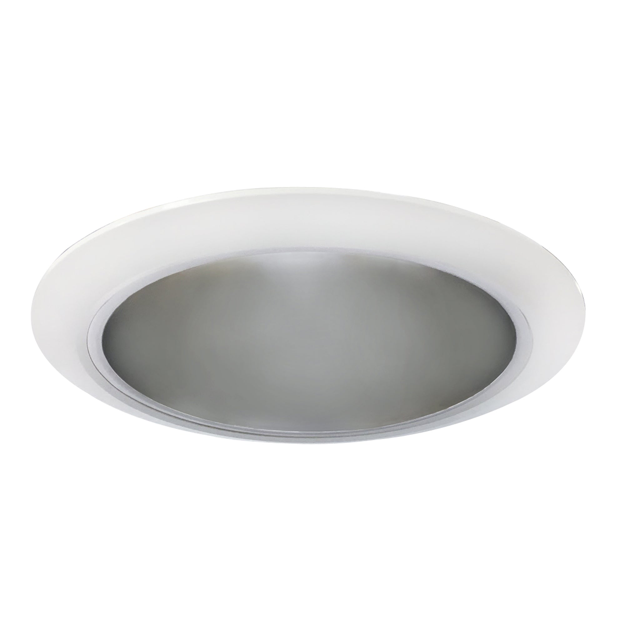 4-inch Haze Outdoor Recessed Light