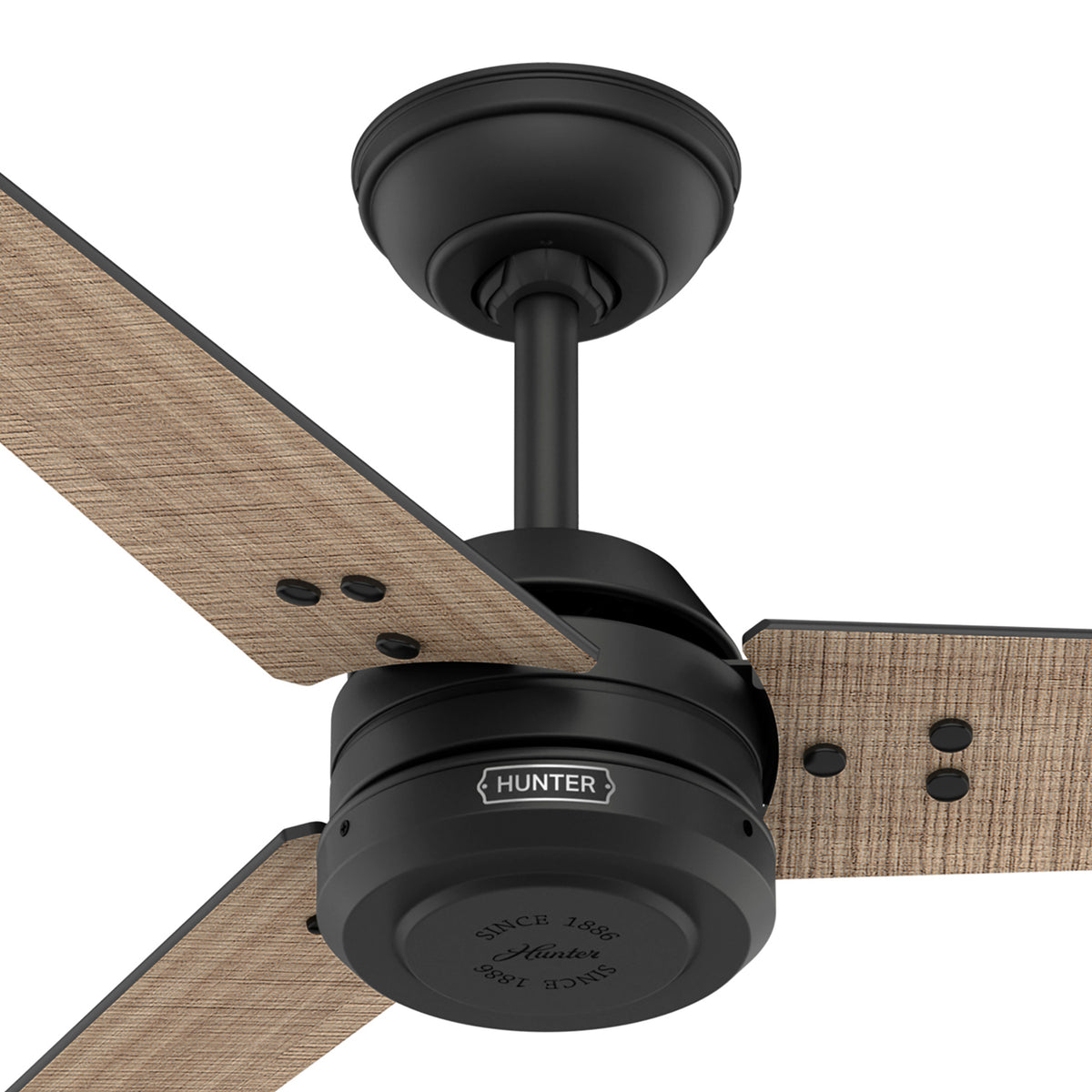 60 inch Cassius ENERGY STAR® Matte Black Damp Rated Ceiling Fan and Wall Control