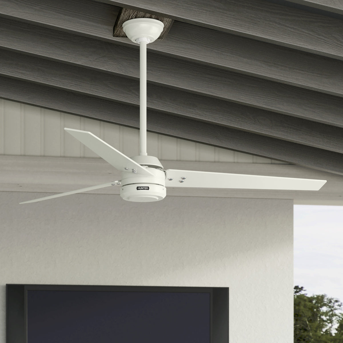 60 inch Cassius ENERGY STAR® Fresh White Damp Rated Ceiling Fan and Wall Control