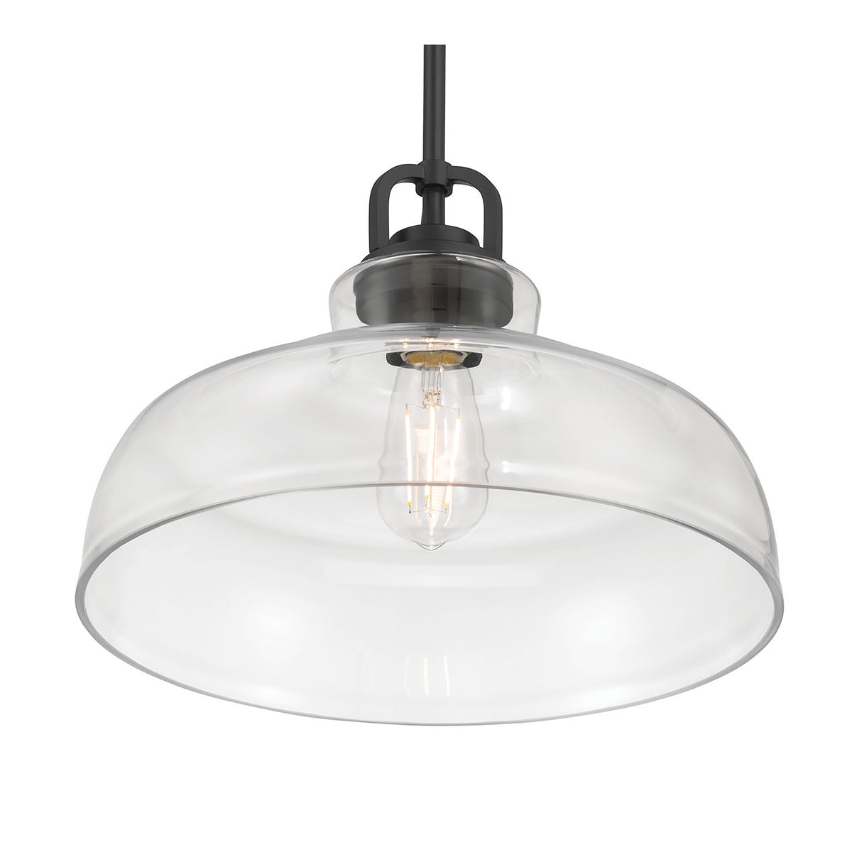 10'' Clarien Matte Black 1 Light Pendant