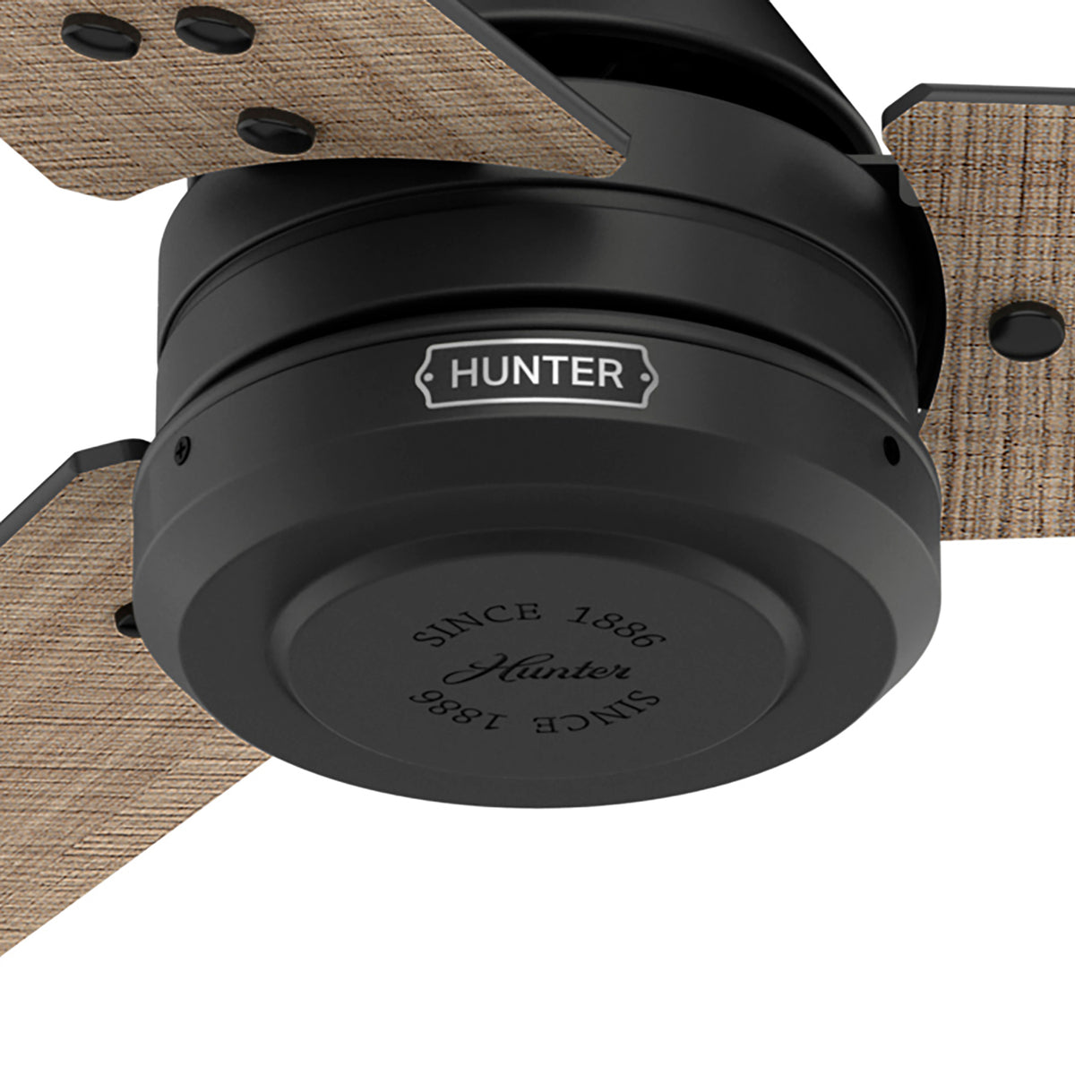 60 inch Cassius ENERGY STAR® Matte Black Damp Rated Ceiling Fan and Wall Control