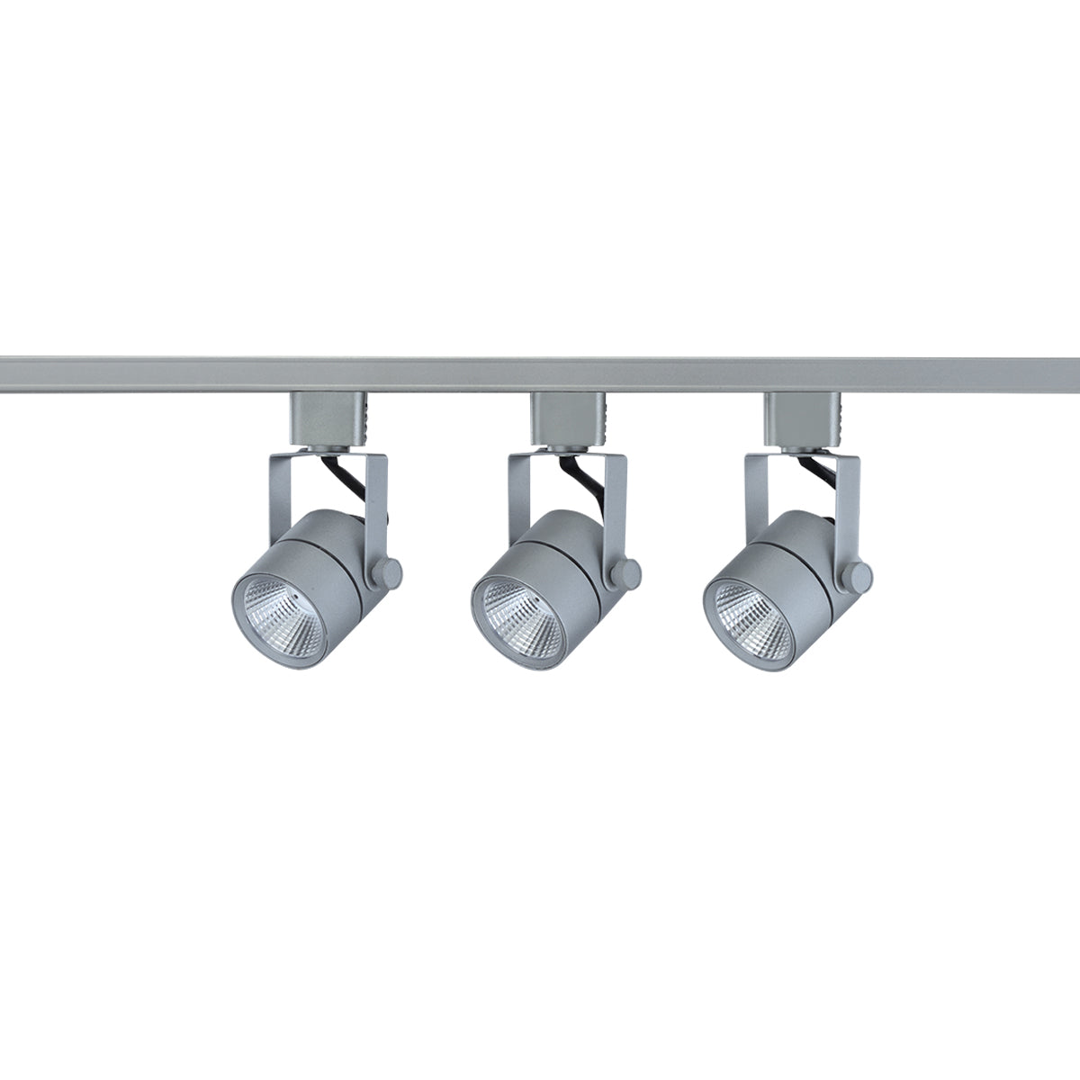 4-foot Brushed Aluminum Track Lighting Kit with 8W Output