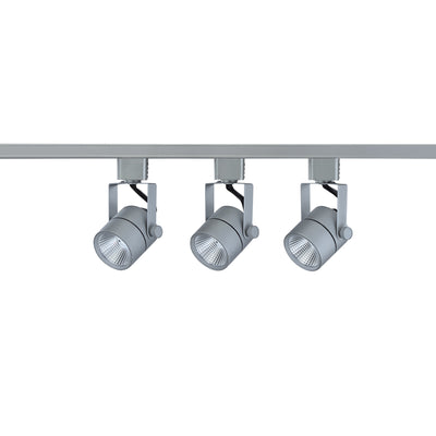 4-foot Brushed Aluminum Track Lighting Kit with 8W Output