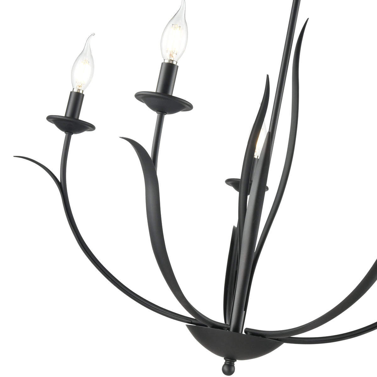 26.5'' Charlize Matte Black 5 Light Chandelier