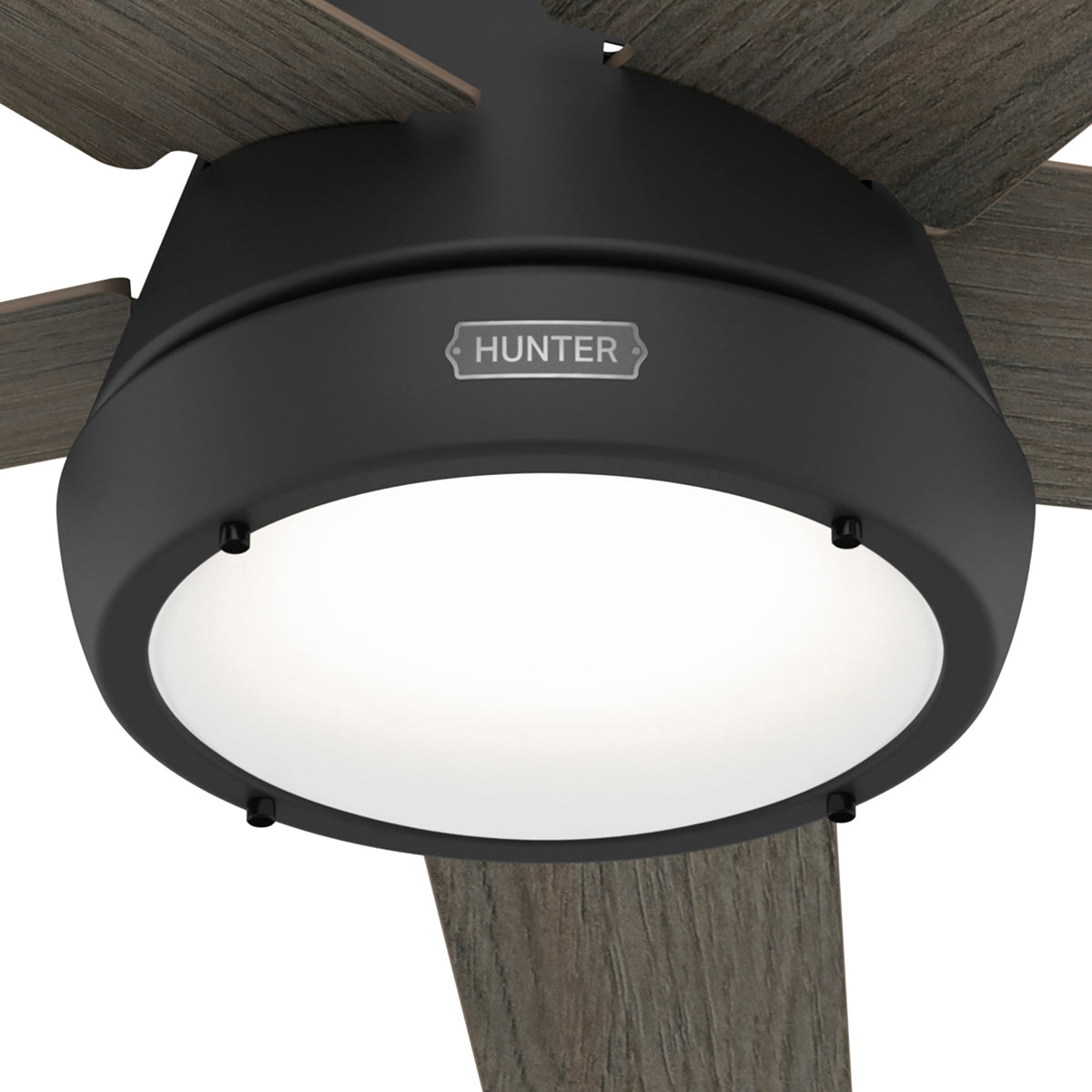 52 inch Burroughs Matte Black Ceiling Fan with LED Light Kit and Handheld Remote