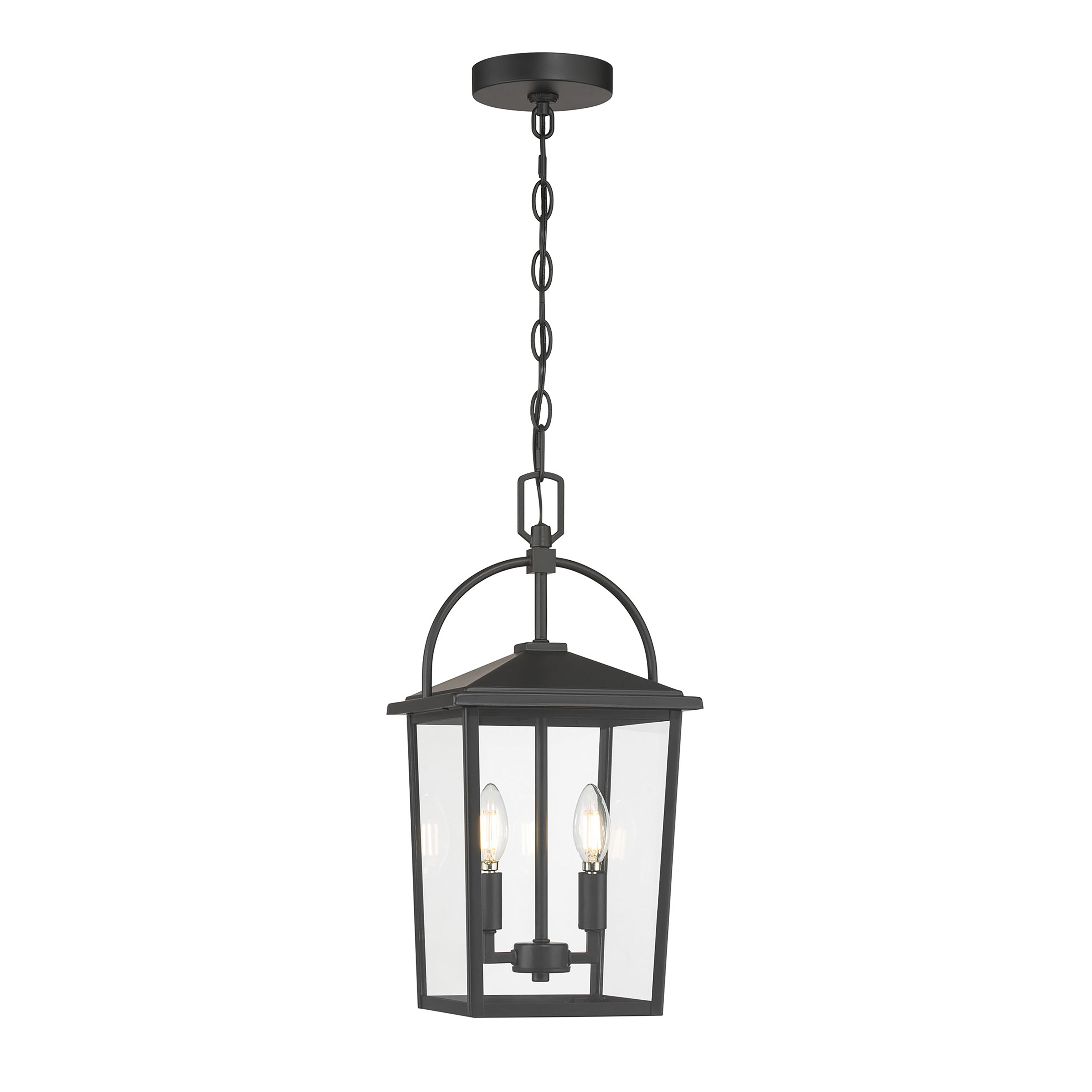 19.25'' Strathden Powder Coated Black 2 Light Hanging Lantern