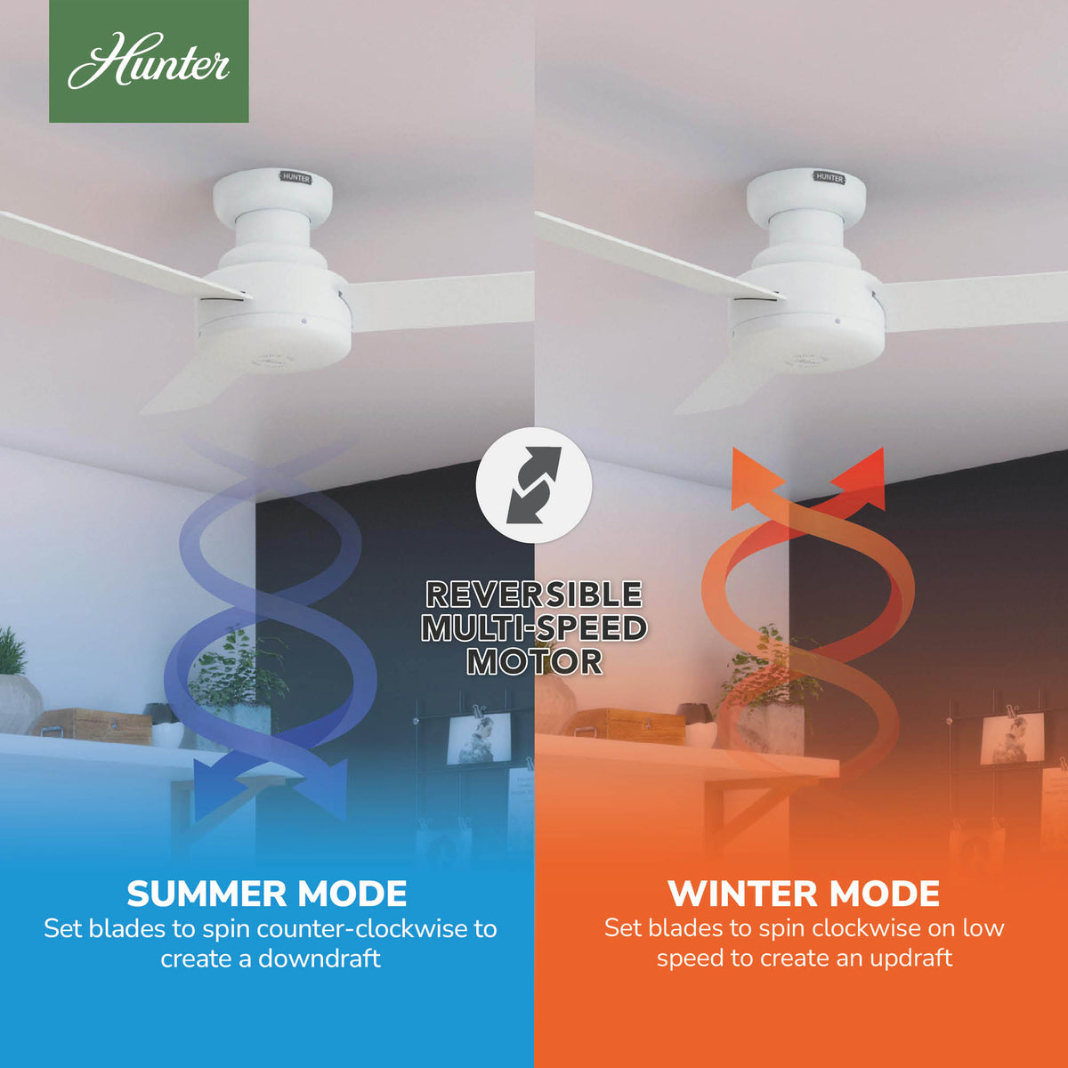 44 inch Presto Matte White Low Profile Ceiling Fan and Wall Control