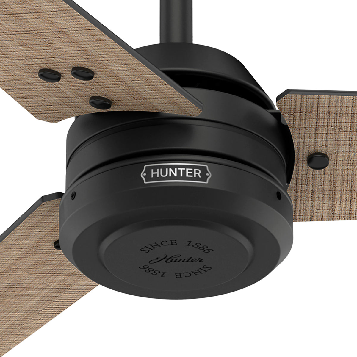 60 inch Cassius ENERGY STAR® Matte Black Damp Rated Ceiling Fan and Wall Control