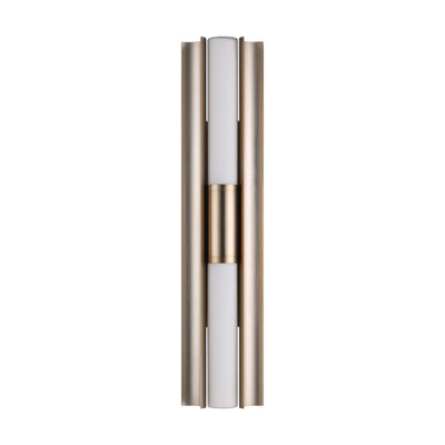 Colton 24-inch 2-light Champagne Gold 5CCT LED Vanity Light with Etched Opal Glass Shades