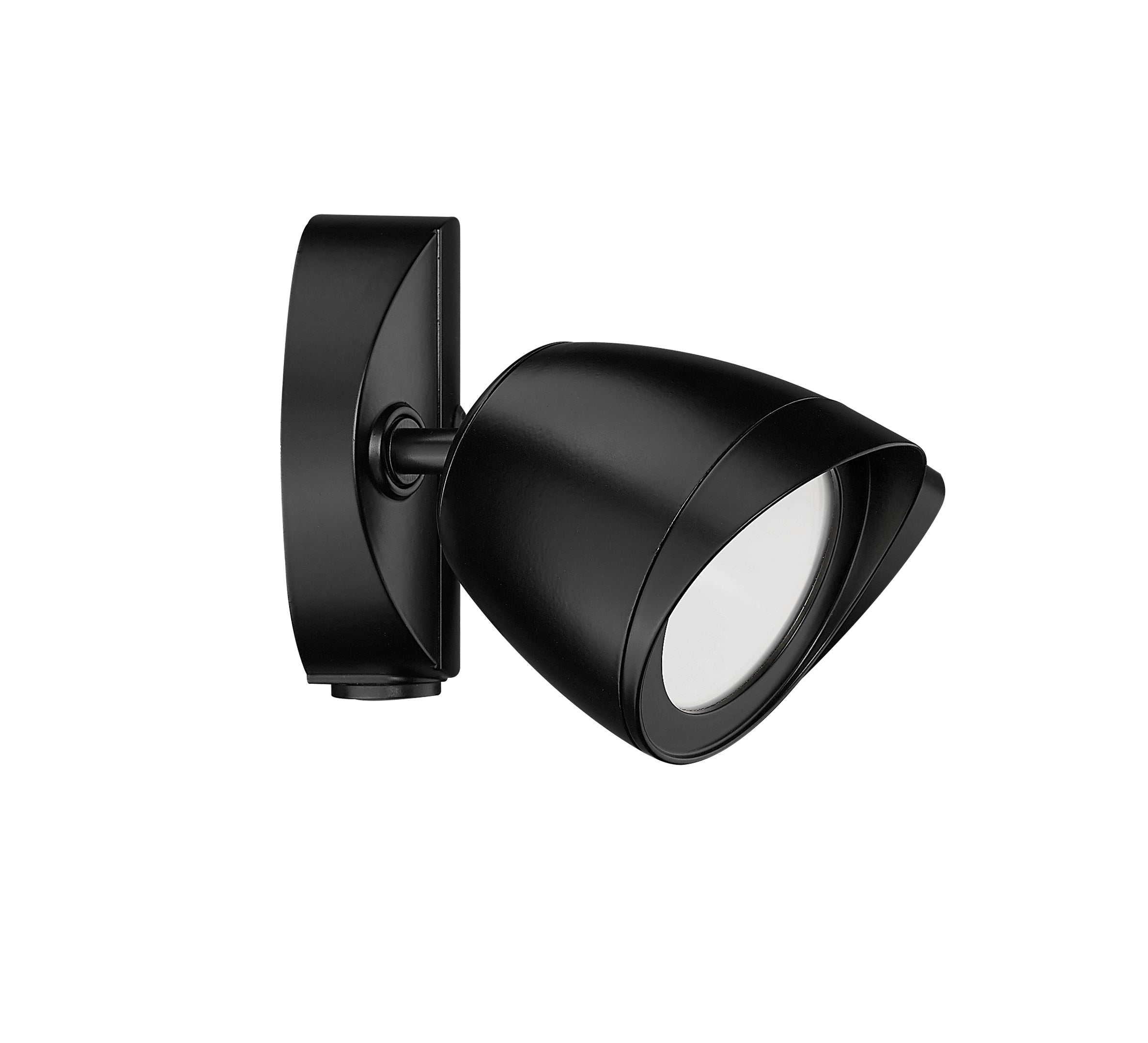 4.3''  Powder Coated Black 2 Light Flood Light