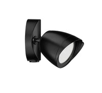 4.3''  Powder Coated Black 2 Light Flood Light
