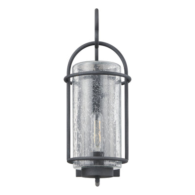 Taplow 18-inch 1-light Weathered Zinc Exterior Wall Sconce with Clear Seeded Glass Shade