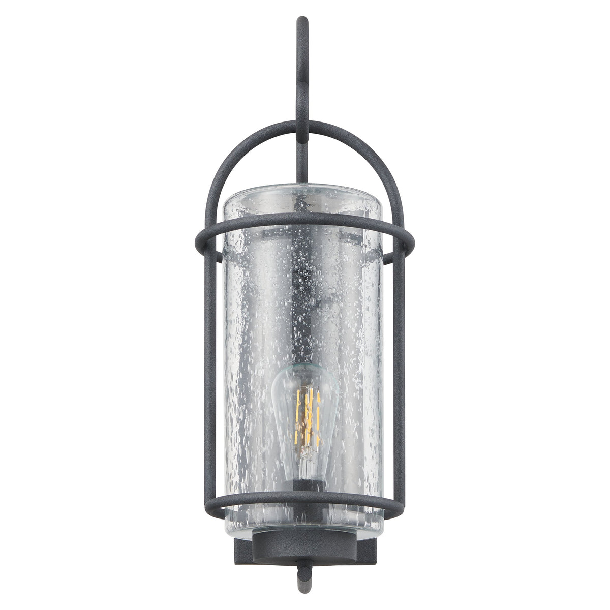 Taplow 18-inch 1-light Weathered Zinc Exterior Wall Sconce with Clear Seeded Glass Shade