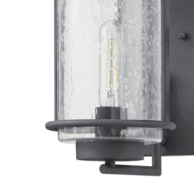 Taplow 18-inch 1-light Weathered Zinc Exterior Wall Sconce with Clear Seeded Glass Shade