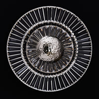 17'' Rosetta 1 Light Polished Nickel Wall Sconce