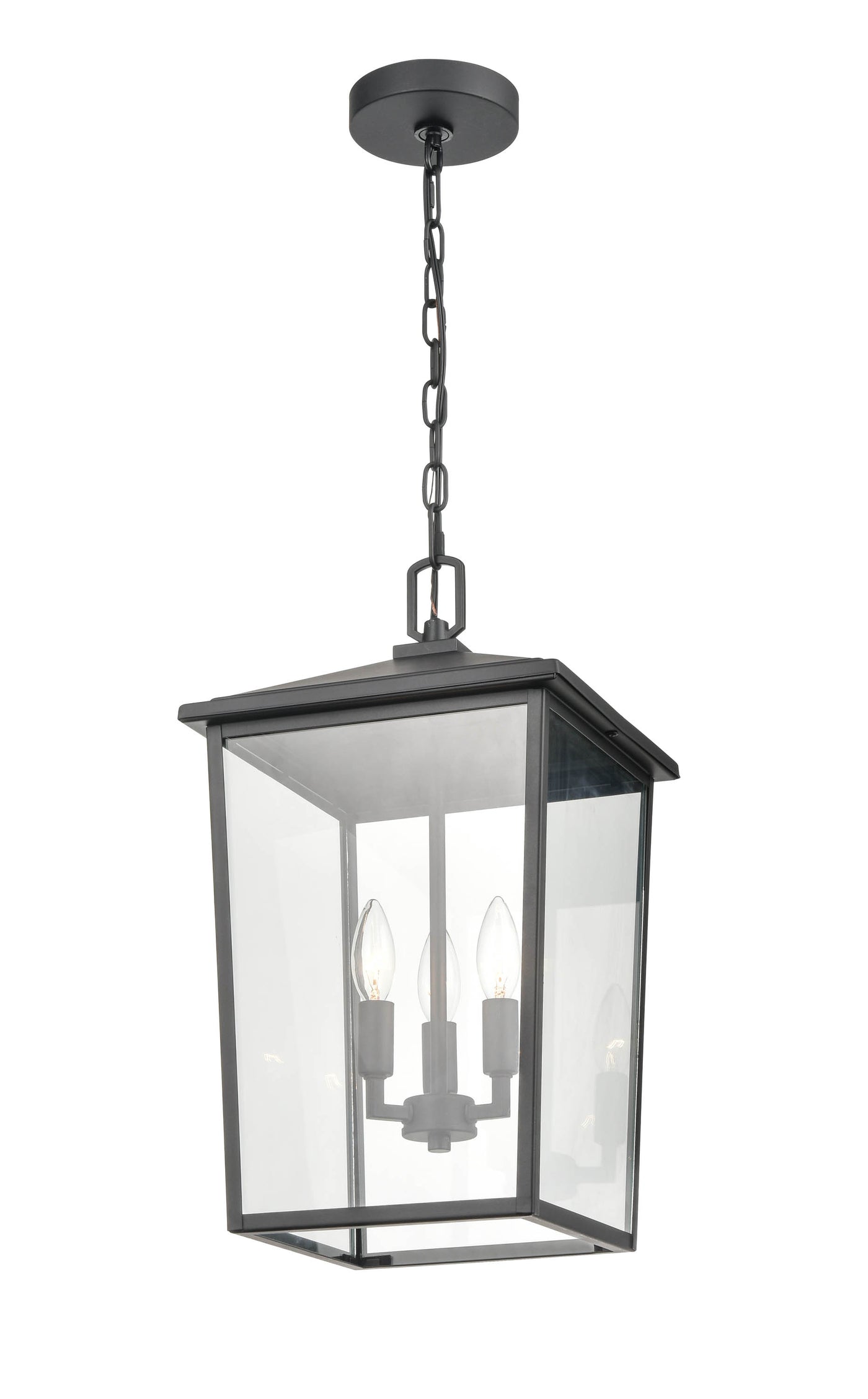 19.75'' Fetterton Powder Coated Black 3 Light Hanging Lantern