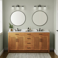 22.5'' Corella Matte Black 3 Light Bath Vanity