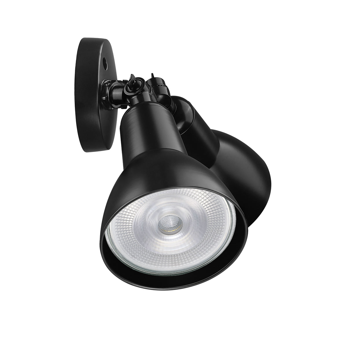 5.25''  Powder Coated Black 2 Light Flood Light