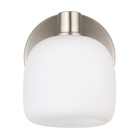 Valentina 5-inch 1-light Brushed Nickel Vanity Light with Etched Opal Glass Shade