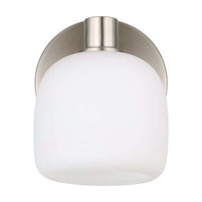 Valentina 5-inch 1-light Brushed Nickel Vanity Light with Etched Opal Glass Shade