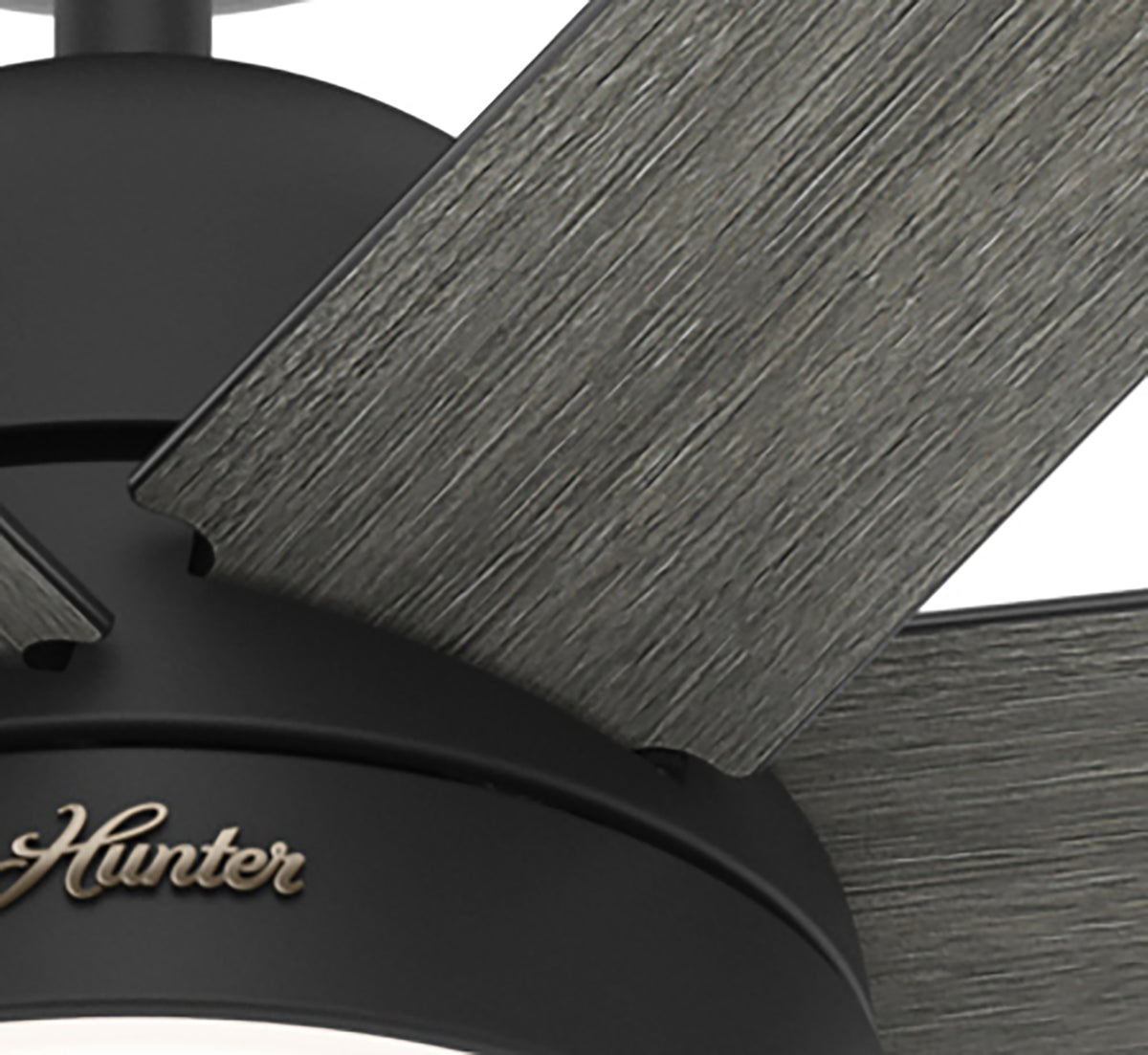60 inch Phenomenon Wi-Fi ENERGY STAR® Matte Black Ceiling Fan with LED Light Kit and Wall Control