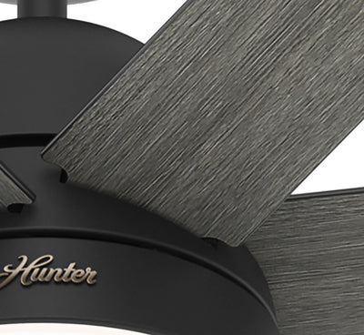 60 inch Phenomenon Wi-Fi ENERGY STAR® Matte Black Ceiling Fan with LED Light Kit and Wall Control