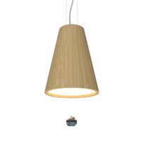 9.84'' Minimalist Conical Accord Pendant Light