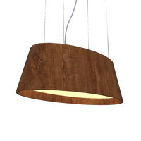 9.84'' Modern Oval LED Accord Pendant Light