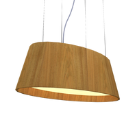 9.84'' Modern Oval LED Accord Pendant Light
