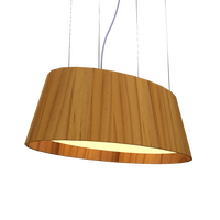 9.84'' Modern Oval LED Accord Pendant Light
