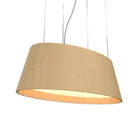 9.84'' Modern Oval LED Accord Pendant Light