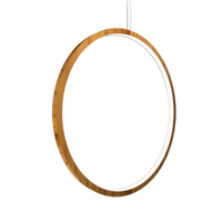 1.18'' Minimalist Frame LED Accord Pendant Light