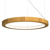 1.18'' Artisan Frame LED Accord Pendant Light