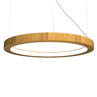 1.18'' Sculptural Frame LED Accord Pendant Light