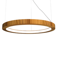 1.18'' Decorative Frame LED Accord Pendant Light