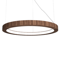 1.18'' Decorative Frame LED Accord Pendant Light