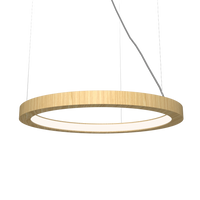 1.18'' Decorative Frame LED Accord Pendant Light
