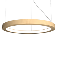 1.97'' Frame Accord Pendant Light