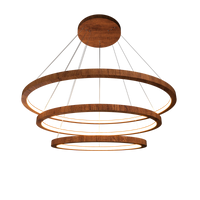 1.18'' Elegant Frame LED Accord Pendant Light