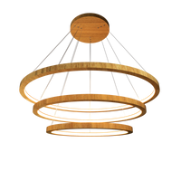 1.18'' Elegant Frame LED Accord Pendant Light