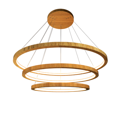 1.18'' Elegant Frame LED Accord Pendant Light