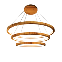 1.18'' Elegant Frame LED Accord Pendant Light