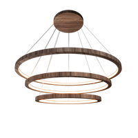 1.18'' Elegant Frame LED Accord Pendant Light