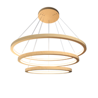 1.18'' Elegant Frame LED Accord Pendant Light