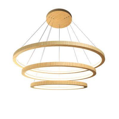 1.18'' Elegant Frame LED Accord Pendant Light