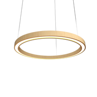 1.57'' Contemporary Frame LED Accord Pendant Light